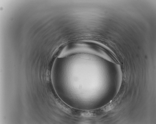 X0000065260470200602211254