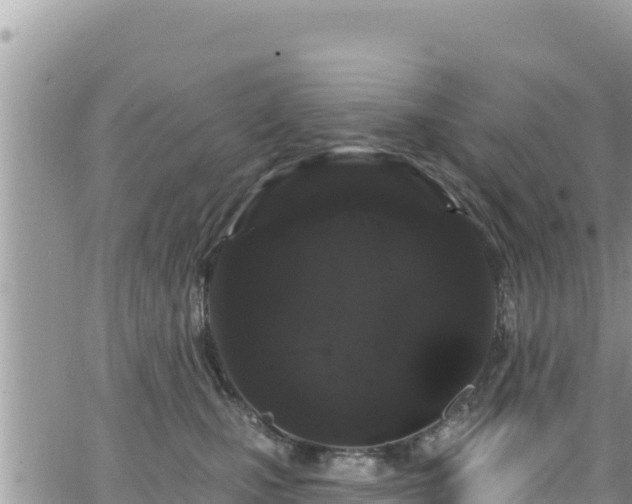 X0000065260471200602211254