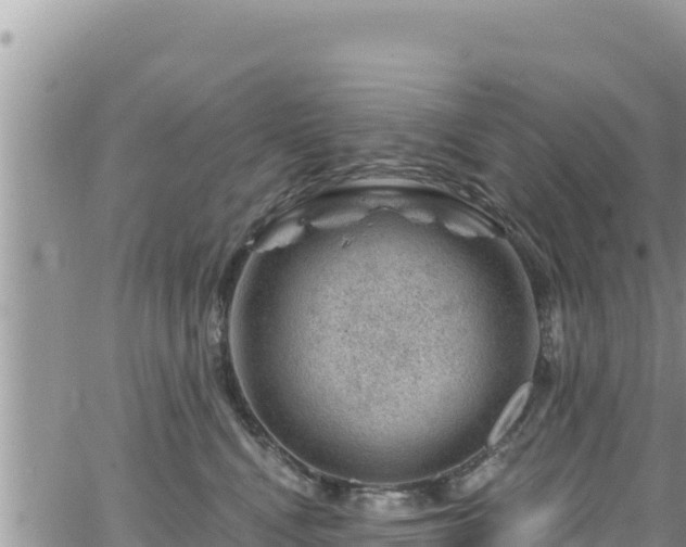 X0000065260472200602211254