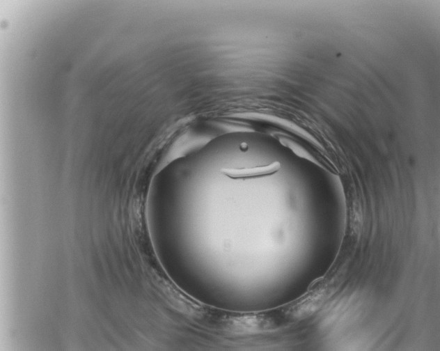 X0000065260473200602211254