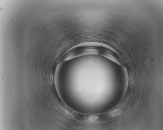 X0000065260474200602211254