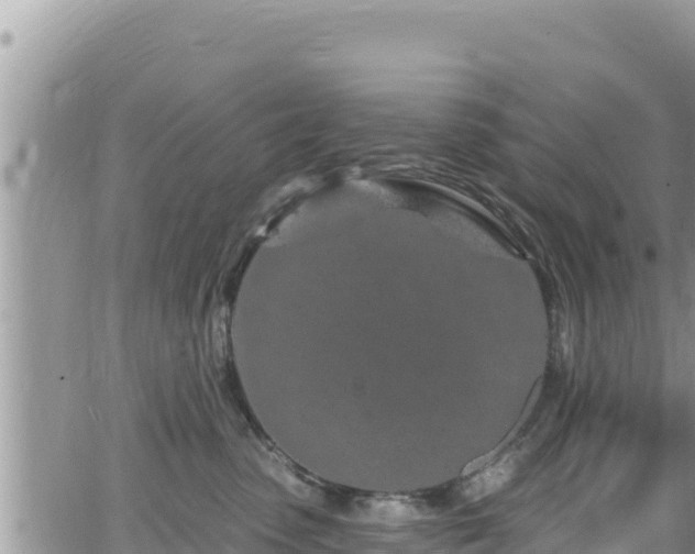 X0000065260475200602211254