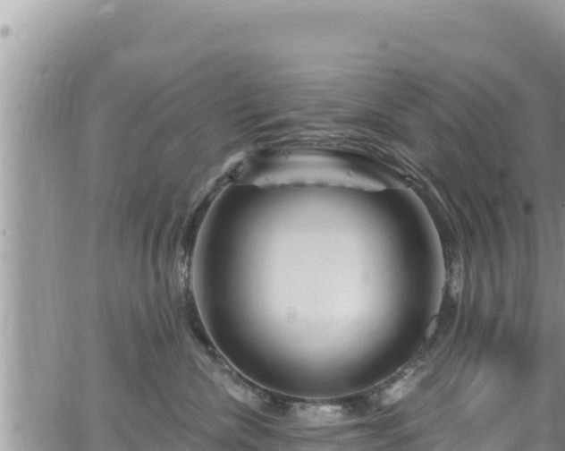 X0000065260476200602211254