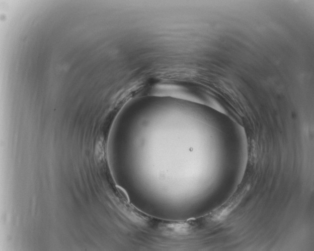 X0000065260478200602211254