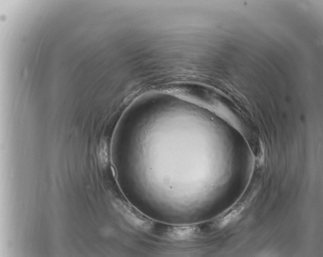 X0000065260479200602211254