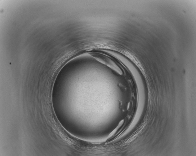 X0000065260481200602211254