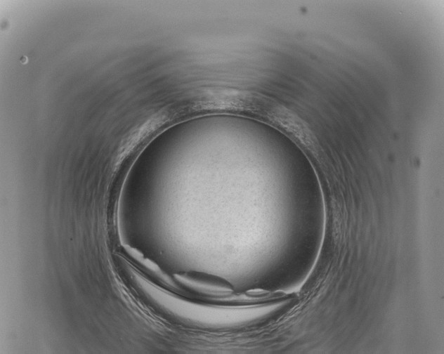 X0000065260482200602211254