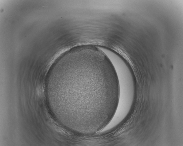 X0000065260483200602211254