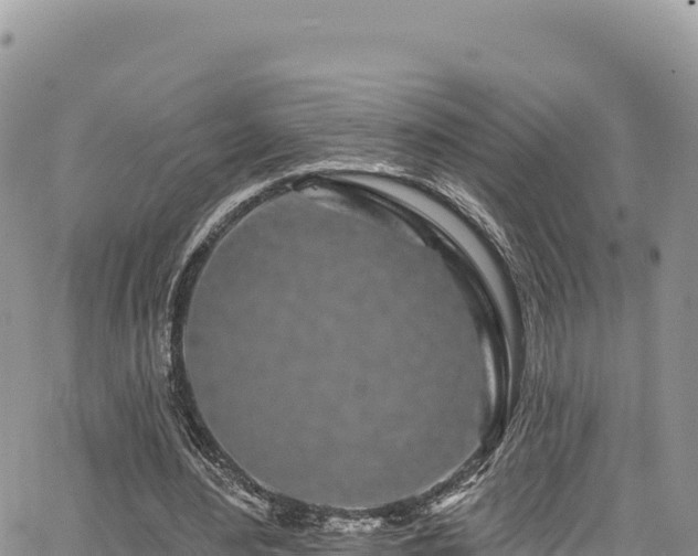 X0000065260484200602211254