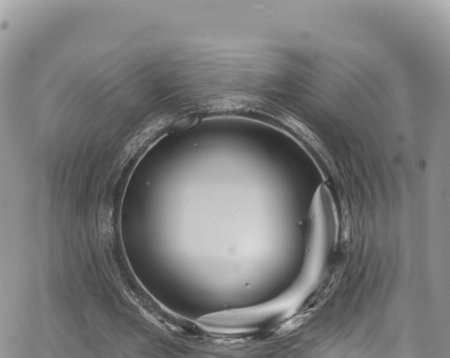 X0000065260485200602211253