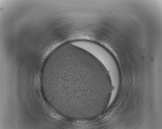 X0000065260487200602211253