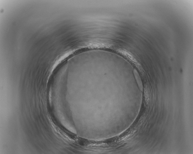 X0000065260488200602211253