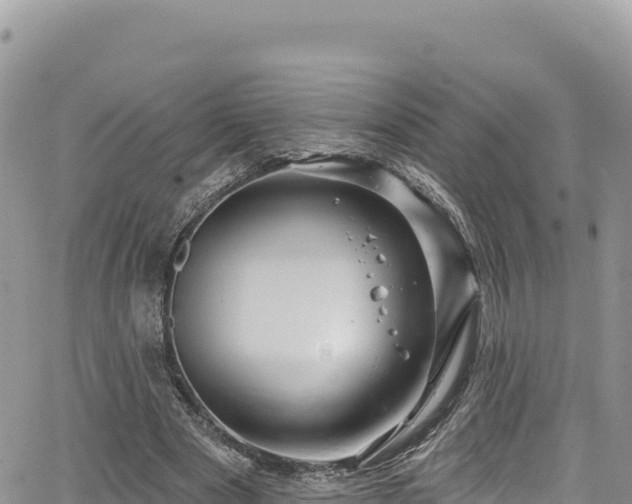 X0000065260489200602211253