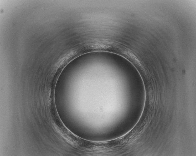 X0000065260490200602211253