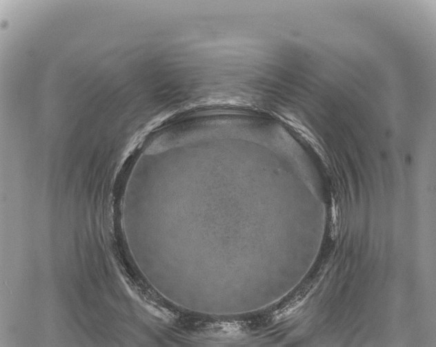 X0000065260492200602211253