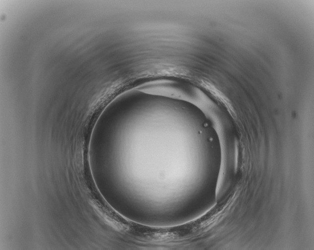 X0000065260493200602211253