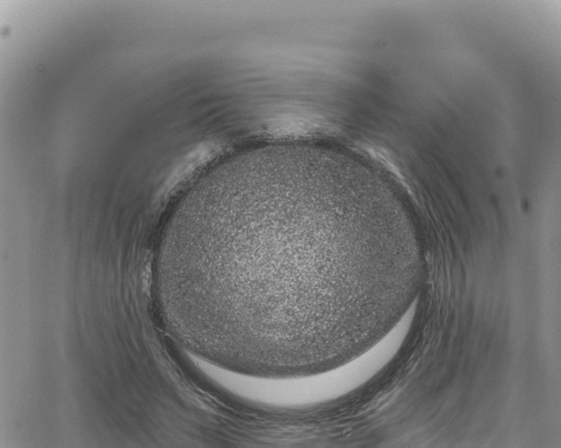 X0000065260495200602211253