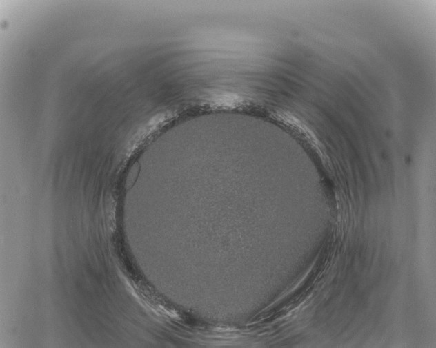 X0000065260496200602211253