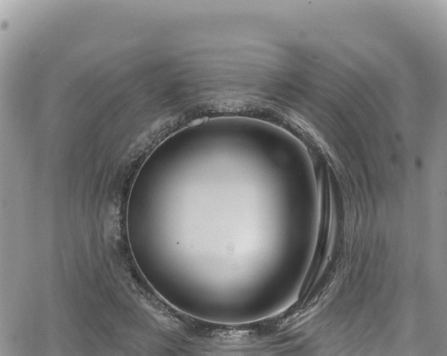 X0000065260497200602211253