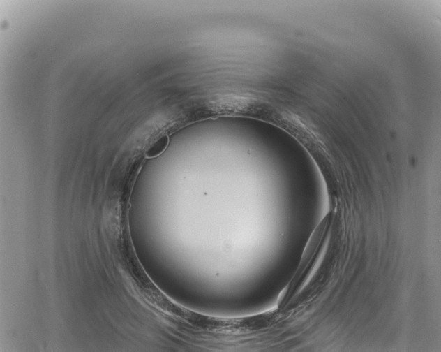 X0000065260498200602211253