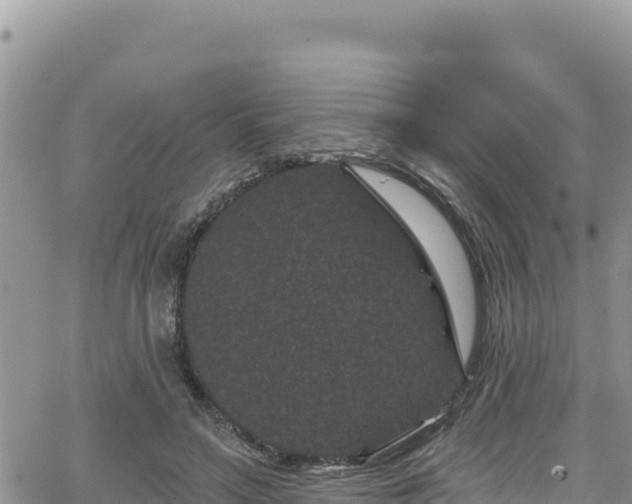 X0000065260499200602211253