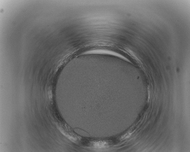 X0000065260500200602211253