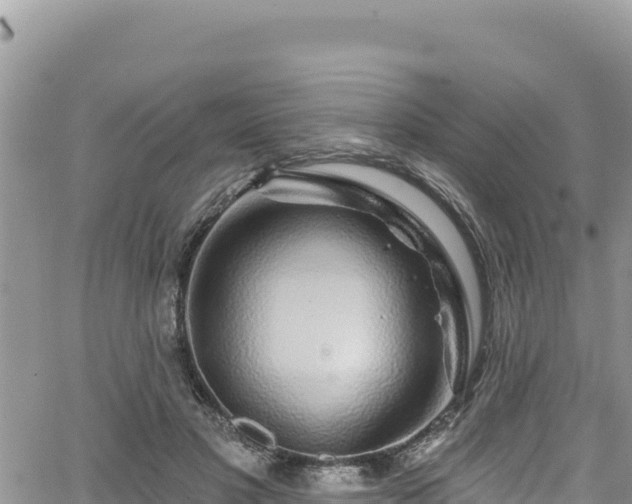 X0000065260501200602211253