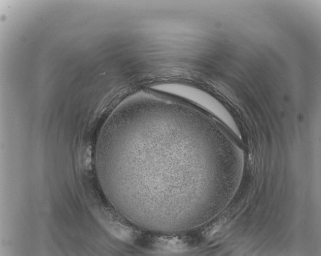 X0000065260502200602211253