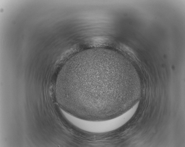 X0000065260503200602211253