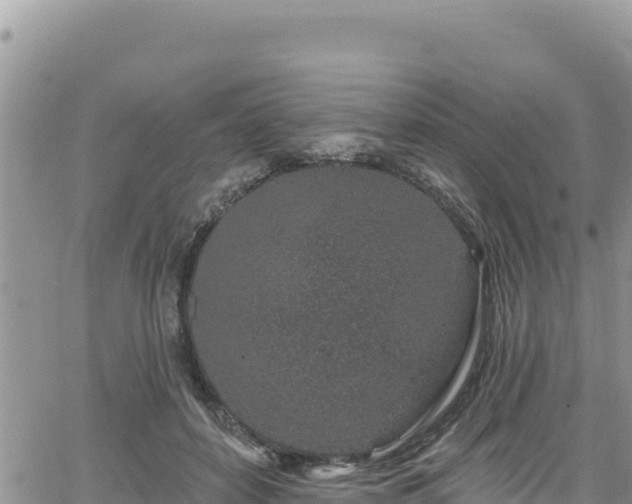 X0000065260504200602211253