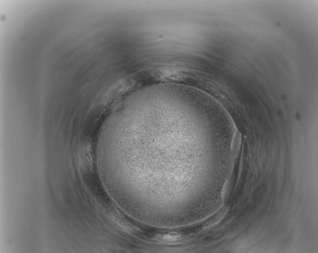 X0000065260506200602211253