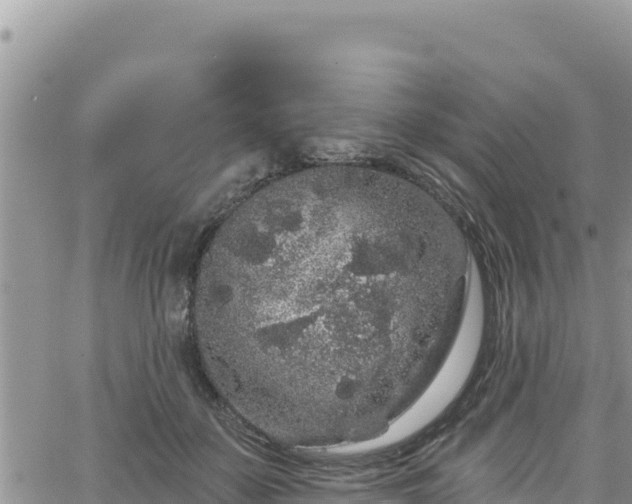 X0000065260507200602211253