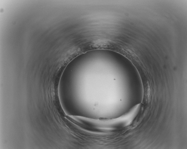 X0000065260508200602211253