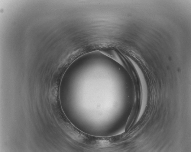 X0000065260509200602211253