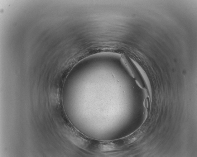 X0000065260510200602211253