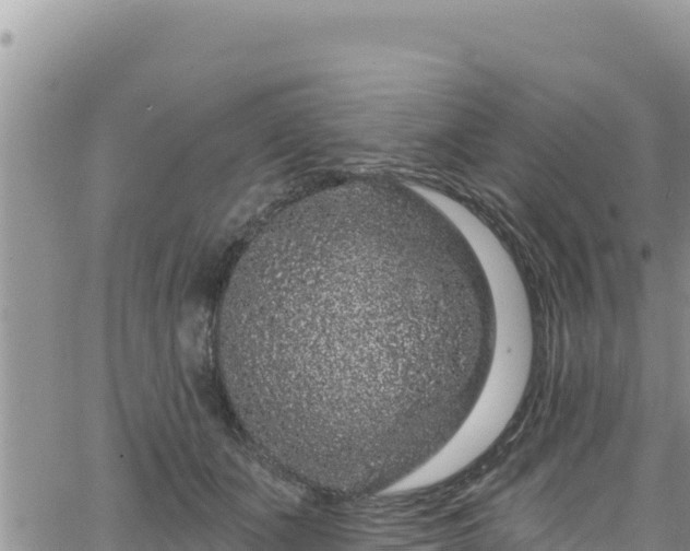 X0000065260511200602211253