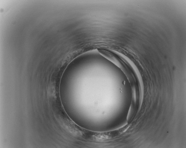 X0000065260512200602211253