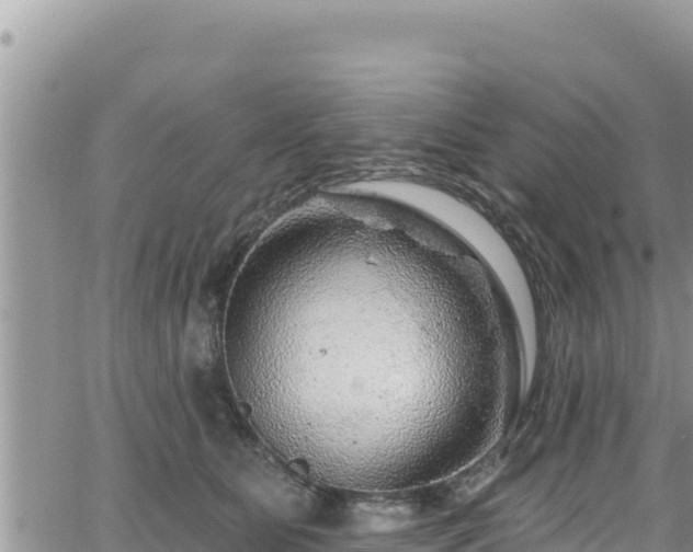 X0000065260515200602211253