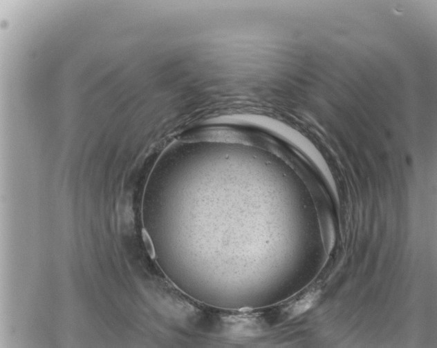 X0000065260516200602211253