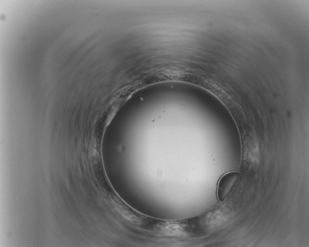 X0000065260518200602211253