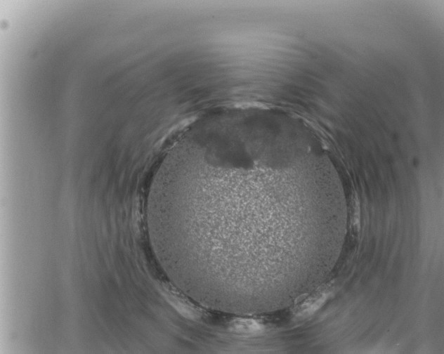 X0000065260519200602211253