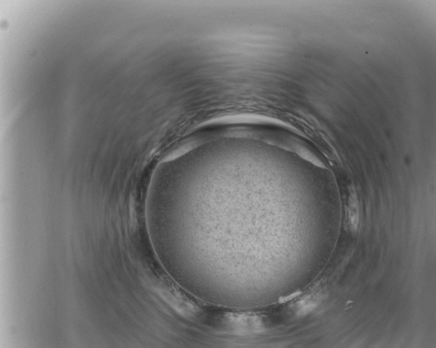 X0000065260520200602211253