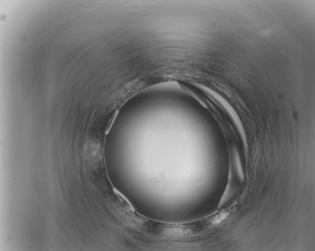 X0000065260521200602211253