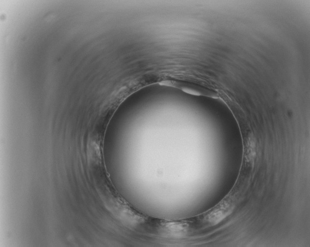 X0000065260522200602211253