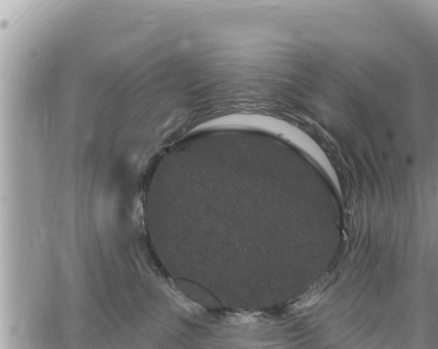 X0000065260523200602211253