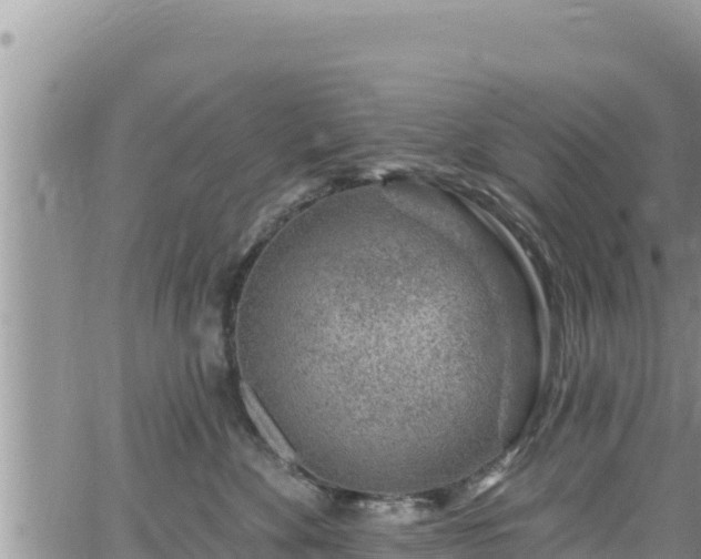 X0000065260524200602211253