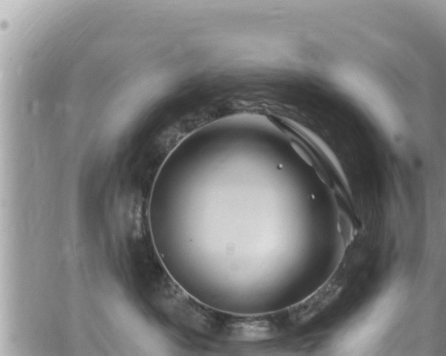 X0000065260525200602211253