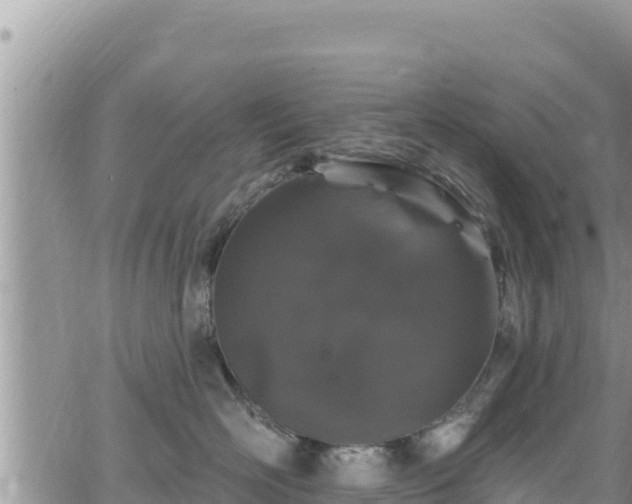 X0000065260526200602211253