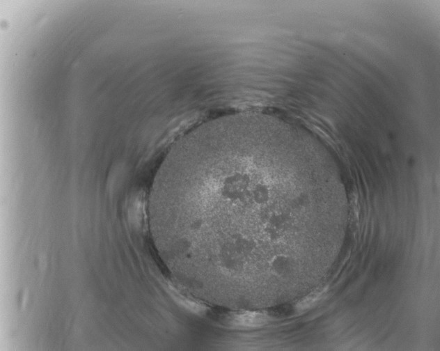 X0000065260527200602211253