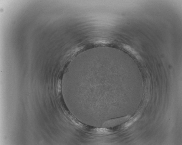 X0000065260528200602211253